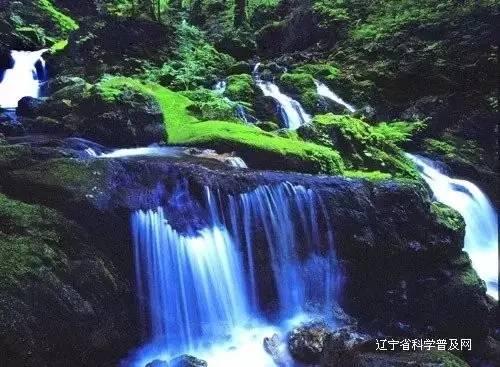 茶百道合作00后网红垫底辣孩被骂?评论区吐槽不想喝!为啥翻车?-专业问答平台